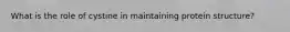 What is the role of cystine in maintaining protein structure?