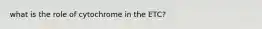 what is the role of cytochrome in the ETC?
