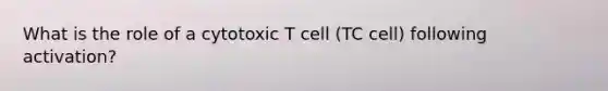 What is the role of a cytotoxic T cell (TC cell) following activation?