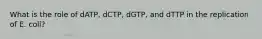 What is the role of dATP, dCTP, dGTP, and dTTP in the replication of E. coli?