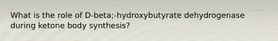 What is the role of D-beta;-hydroxybutyrate dehydrogenase during ketone body synthesis?