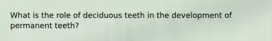 What is the role of deciduous teeth in the development of permanent teeth?