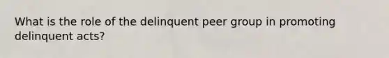 What is the role of the delinquent peer group in promoting delinquent acts?