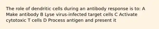 The role of dendritic cells during an antibody response is to: A Make antibody B Lyse virus-infected target cells C Activate cytotoxic T cells D Process antigen and present it