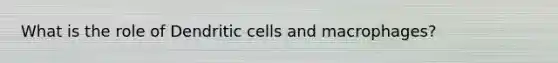 What is the role of Dendritic cells and macrophages?