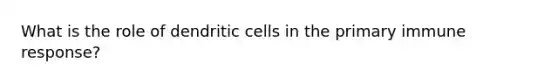 What is the role of dendritic cells in the primary immune response?