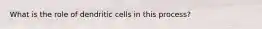 What is the role of dendritic cells in this process?