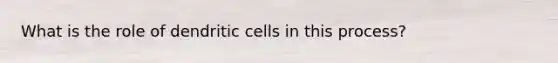 What is the role of dendritic cells in this process?