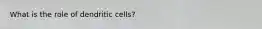 What is the role of dendritic cells?