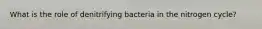 What is the role of denitrifying bacteria in the nitrogen cycle?