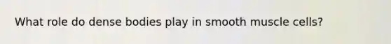 What role do dense bodies play in smooth muscle cells?