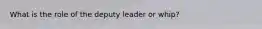 What is the role of the deputy leader or whip?