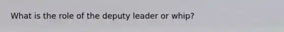 What is the role of the deputy leader or whip?