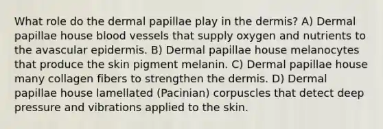 What role do the dermal papillae play in the dermis? A) Dermal papillae house blood vessels that supply oxygen and nutrients to the avascular epidermis. B) Dermal papillae house melanocytes that produce the skin pigment melanin. C) Dermal papillae house many collagen fibers to strengthen the dermis. D) Dermal papillae house lamellated (Pacinian) corpuscles that detect deep pressure and vibrations applied to the skin.