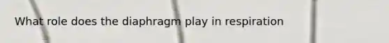 What role does the diaphragm play in respiration