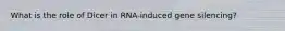 What is the role of Dicer in RNA-induced gene silencing?