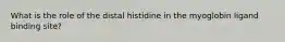 What is the role of the distal histidine in the myoglobin ligand binding site?
