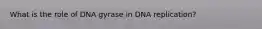 What is the role of DNA gyrase in DNA replication?