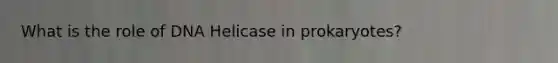 What is the role of DNA Helicase in prokaryotes?
