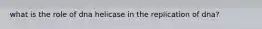 what is the role of dna helicase in the replication of dna?