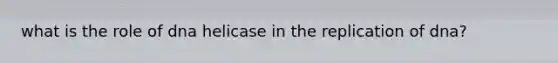 what is the role of dna helicase in the replication of dna?