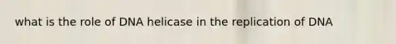 what is the role of DNA helicase in the replication of DNA