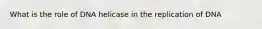 What is the role of DNA helicase in the replication of DNA