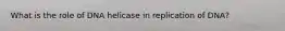 What is the role of DNA helicase in replication of DNA?