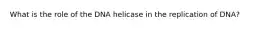 What is the role of the DNA helicase in the replication of DNA?