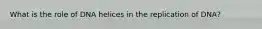 What is the role of DNA helices in the replication of DNA?