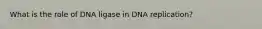 What is the role of DNA ligase in DNA replication?