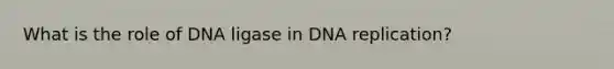 What is the role of DNA ligase in DNA replication?