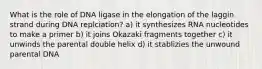 What is the role of DNA ligase in the elongation of the laggin strand during DNA replciation? a) it synthesizes RNA nucleotides to make a primer b) it joins Okazaki fragments together c) it unwinds the parental double helix d) it stablizies the unwound parental DNA