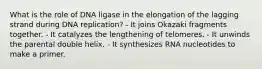 What is the role of DNA ligase in the elongation of the lagging strand during DNA replication? - It joins Okazaki fragments together. - It catalyzes the lengthening of telomeres. - It unwinds the parental double helix. - It synthesizes RNA nucleotides to make a primer.