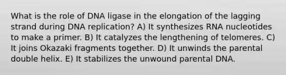 What is the role of DNA ligase in the elongation of the lagging strand during DNA replication? A) It synthesizes RNA nucleotides to make a primer. B) It catalyzes the lengthening of telomeres. C) It joins Okazaki fragments together. D) It unwinds the parental double helix. E) It stabilizes the unwound parental DNA.