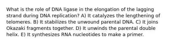 What is the role of DNA ligase in the elongation of the lagging strand during DNA replication? A) It catalyzes the lengthening of telomeres. B) It stabilizes the unwound parental DNA. C) It joins Okazaki fragments together. D) It unwinds the parental double helix. E) It synthesizes RNA nucleotides to make a primer.