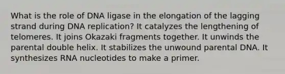 What is the role of DNA ligase in the elongation of the lagging strand during DNA replication? It catalyzes the lengthening of telomeres. It joins Okazaki fragments together. It unwinds the parental double helix. It stabilizes the unwound parental DNA. It synthesizes RNA nucleotides to make a primer.