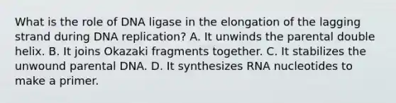 What is the role of DNA ligase in the elongation of the lagging strand during DNA replication? A. It unwinds the parental double helix. B. It joins Okazaki fragments together. C. It stabilizes the unwound parental DNA. D. It synthesizes RNA nucleotides to make a primer.