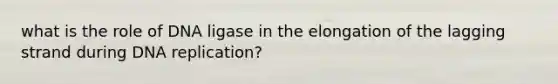 what is the role of DNA ligase in the elongation of the lagging strand during DNA replication?