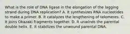 What is the role of DNA ligase in the elongation of the lagging strand during DNA replication? A. It synthesizes RNA nucleotides to make a primer. B. It catalyzes the lengthening of telomeres. C. It joins Okazaki fragments together. D. It unwinds the parental double helix. E. It stabilizes the unwound parental DNA.