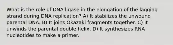 What is the role of DNA ligase in the elongation of the lagging strand during DNA replication? A) It stabilizes the unwound parental DNA. B) It joins Okazaki fragments together. C) It unwinds the parental double helix. D) It synthesizes RNA nucleotides to make a primer.