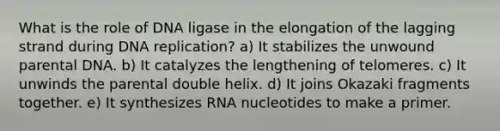 What is the role of DNA ligase in the elongation of the lagging strand during DNA replication? a) It stabilizes the unwound parental DNA. b) It catalyzes the lengthening of telomeres. c) It unwinds the parental double helix. d) It joins Okazaki fragments together. e) It synthesizes RNA nucleotides to make a primer.