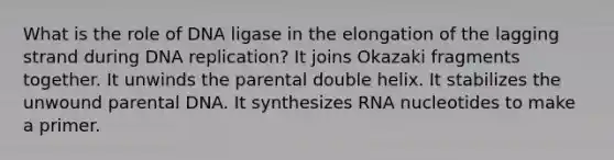 What is the role of DNA ligase in the elongation of the lagging strand during DNA replication? It joins Okazaki fragments together. It unwinds the parental double helix. It stabilizes the unwound parental DNA. It synthesizes RNA nucleotides to make a primer.