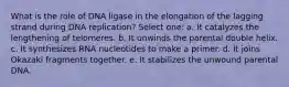 What is the role of DNA ligase in the elongation of the lagging strand during DNA replication? Select one: a. It catalyzes the lengthening of telomeres. b. It unwinds the parental double helix. c. It synthesizes RNA nucleotides to make a primer. d. It joins Okazaki fragments together. e. It stabilizes the unwound parental DNA.