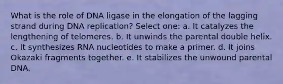 What is the role of DNA ligase in the elongation of the lagging strand during DNA replication? Select one: a. It catalyzes the lengthening of telomeres. b. It unwinds the parental double helix. c. It synthesizes RNA nucleotides to make a primer. d. It joins Okazaki fragments together. e. It stabilizes the unwound parental DNA.