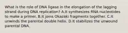 What is the role of DNA ligase in the elongation of the lagging strand during DNA replication? A.It synthesizes RNA nucleotides to make a primer. B.It joins Okazaki fragments together. C.It unwinds the parental double helix. D.It stabilizes the unwound parental DNA.