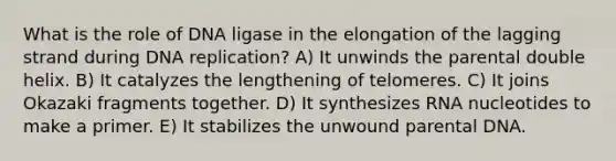 What is the role of DNA ligase in the elongation of the lagging strand during DNA replication? A) It unwinds the parental double helix. B) It catalyzes the lengthening of telomeres. C) It joins Okazaki fragments together. D) It synthesizes RNA nucleotides to make a primer. E) It stabilizes the unwound parental DNA.