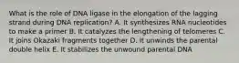 What is the role of DNA ligase in the elongation of the lagging strand during DNA replication? A. It synthesizes RNA nucleotides to make a primer B. It catalyzes the lengthening of telomeres C. It joins Okazaki fragments together D. It unwinds the parental double helix E. It stabilizes the unwound parental DNA