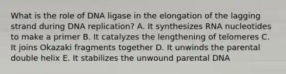 What is the role of DNA ligase in the elongation of the lagging strand during DNA replication? A. It synthesizes RNA nucleotides to make a primer B. It catalyzes the lengthening of telomeres C. It joins Okazaki fragments together D. It unwinds the parental double helix E. It stabilizes the unwound parental DNA