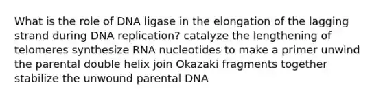 What is the role of DNA ligase in the elongation of the lagging strand during <a href='https://www.questionai.com/knowledge/kofV2VQU2J-dna-replication' class='anchor-knowledge'>dna replication</a>? catalyze the lengthening of telomeres synthesize RNA nucleotides to make a primer unwind the parental double helix join Okazaki fragments together stabilize the unwound parental DNA